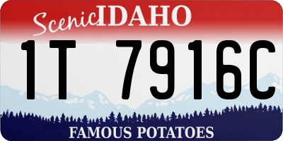 ID license plate 1T7916C