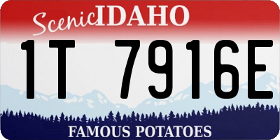 ID license plate 1T7916E