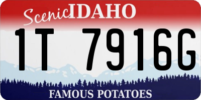 ID license plate 1T7916G