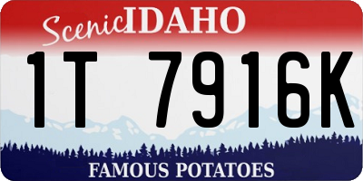 ID license plate 1T7916K