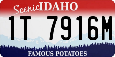 ID license plate 1T7916M