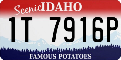 ID license plate 1T7916P