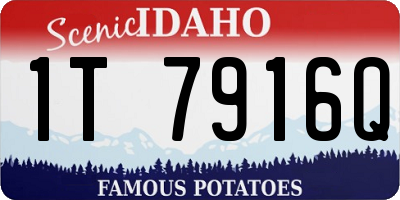 ID license plate 1T7916Q