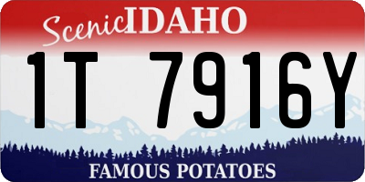 ID license plate 1T7916Y