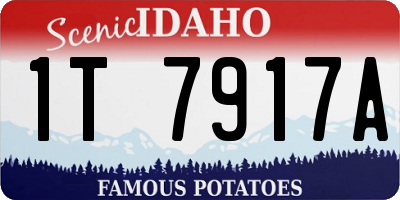 ID license plate 1T7917A