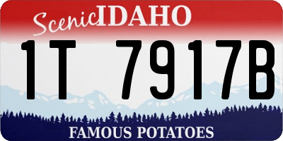 ID license plate 1T7917B