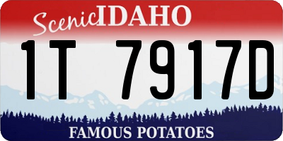 ID license plate 1T7917D