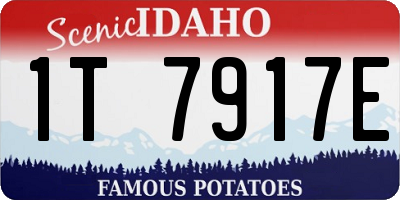 ID license plate 1T7917E