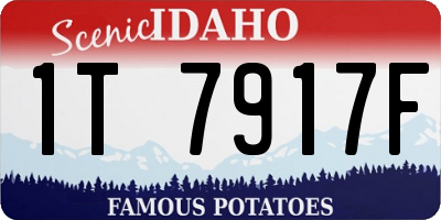 ID license plate 1T7917F