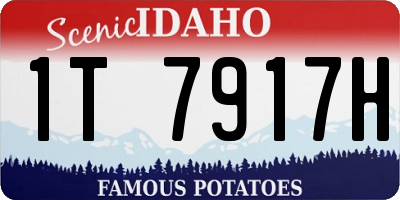 ID license plate 1T7917H