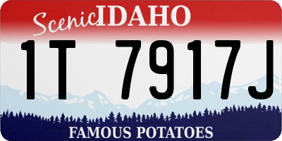 ID license plate 1T7917J