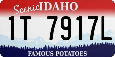 ID license plate 1T7917L