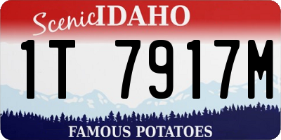 ID license plate 1T7917M