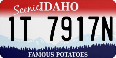 ID license plate 1T7917N