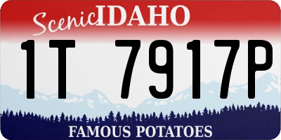 ID license plate 1T7917P