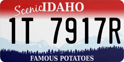 ID license plate 1T7917R