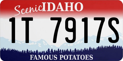 ID license plate 1T7917S
