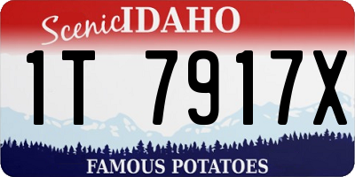 ID license plate 1T7917X