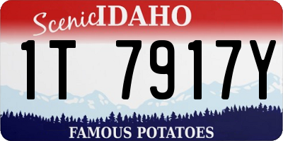 ID license plate 1T7917Y