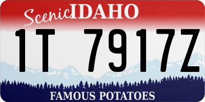 ID license plate 1T7917Z