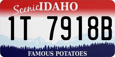 ID license plate 1T7918B