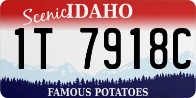 ID license plate 1T7918C