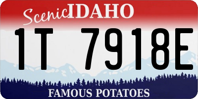 ID license plate 1T7918E