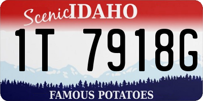 ID license plate 1T7918G