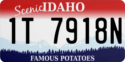 ID license plate 1T7918N
