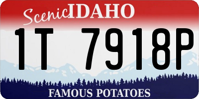 ID license plate 1T7918P