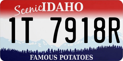 ID license plate 1T7918R