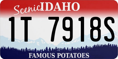 ID license plate 1T7918S