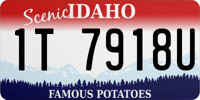 ID license plate 1T7918U