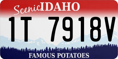 ID license plate 1T7918V