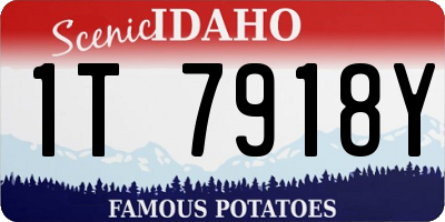 ID license plate 1T7918Y