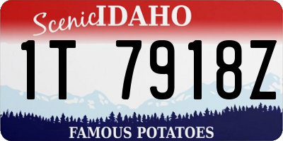 ID license plate 1T7918Z