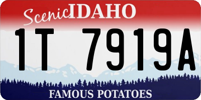 ID license plate 1T7919A