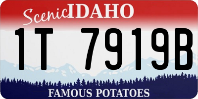 ID license plate 1T7919B