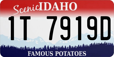 ID license plate 1T7919D