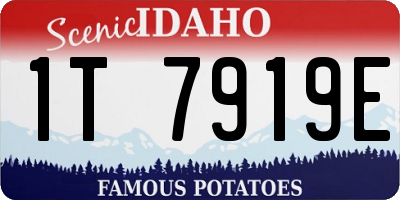 ID license plate 1T7919E