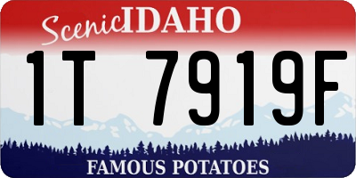 ID license plate 1T7919F