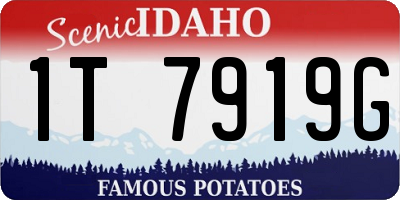 ID license plate 1T7919G