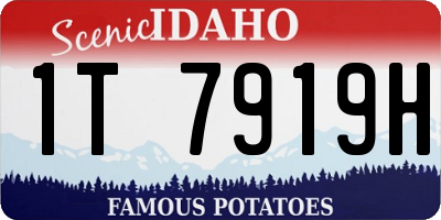 ID license plate 1T7919H