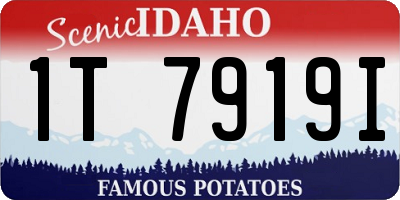 ID license plate 1T7919I