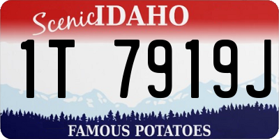 ID license plate 1T7919J