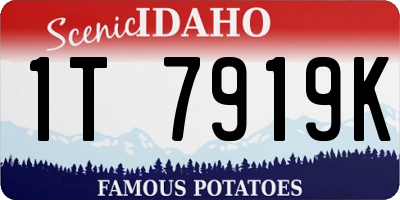 ID license plate 1T7919K