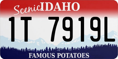 ID license plate 1T7919L