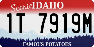 ID license plate 1T7919M