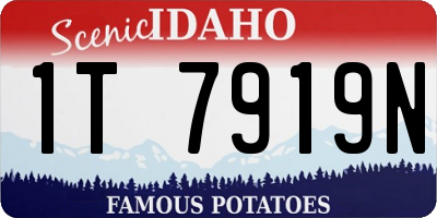 ID license plate 1T7919N