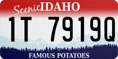 ID license plate 1T7919Q